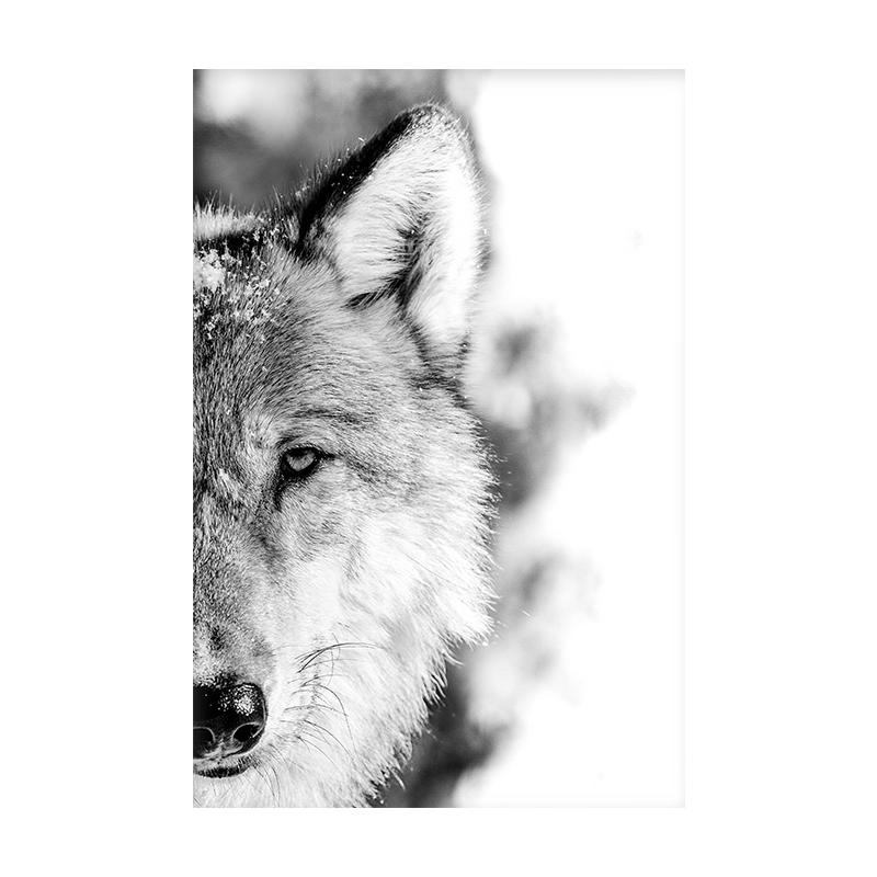 Animal Side Face Portrait Modern Wall Canvas Print Wild Life Art Poster Black and White Photo For Living Room Home Decor Cuadros