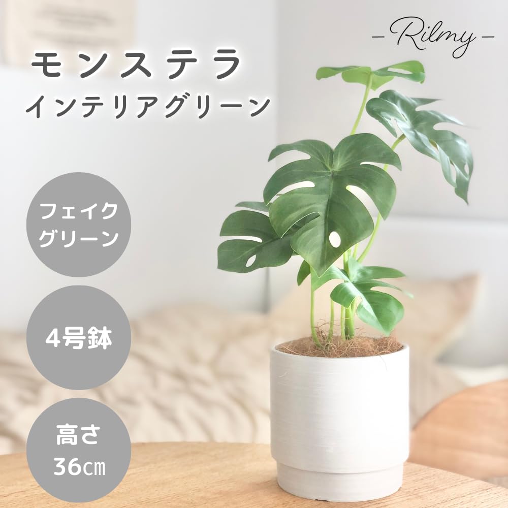 Rilmy Fake Green Tabletop Plants Monstera Artificial Flowers Artificial Plants Interior Stylish Interior Green Mini Fake 36cm Height with Pot Cover