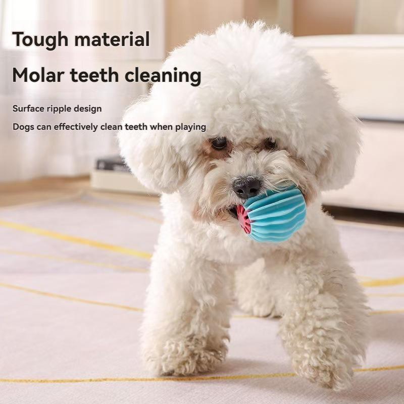 Pet Dog Teething Toy, Teeth Cleaning, Bite-Resistant Teeth Cleaning Stick, Interactive Training Supplies, Educational Dog Chew T