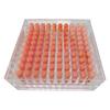Transparent 100-Round Ammunition Storage Box