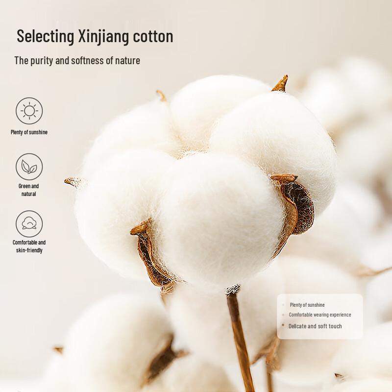 Pastellfarbenes besticktes Baumwoll-Kurzarm-T-Shirt für Frauen mittleren Alters