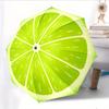 Automatic Folding Umbrella Lime Slice. Portable Collapsible Design, Casual Outdoor Accessory, for All Seasons, Christmas Birth