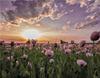 RUOPOTY Digital Painting Flower Sea Hand-Painted Wall Art Painting Unique Gifts On Canvas Sunset Pictures Home Decoration