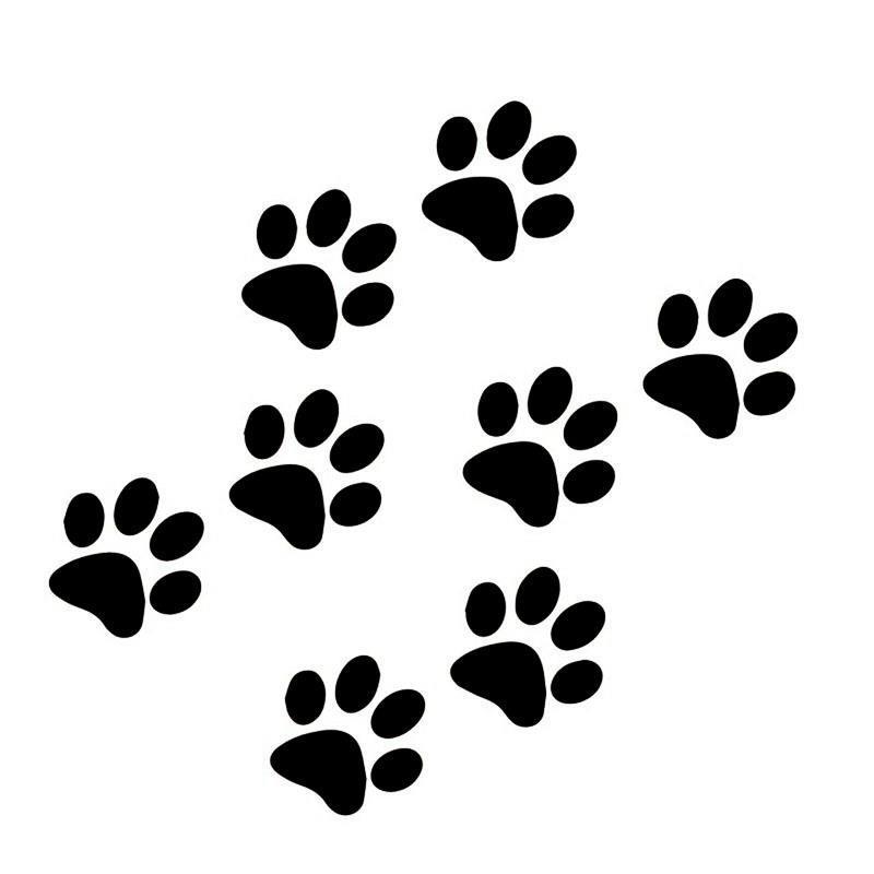 Adesivi per Auto con Impronte di Zampe di Animali: Adesivi Zampa di Gatto e Cane per Personalità & Copri Graffi