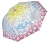 Zip Corporation Transparent Vinyl with Fiberglass Automatic Opening and S Size Rib Length Ribs Umbrella, Umbrella, Women's, Convenient, Window,