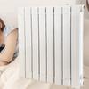 Wanshun Jia Steel Wall-Mounted Hydronic Radiator
