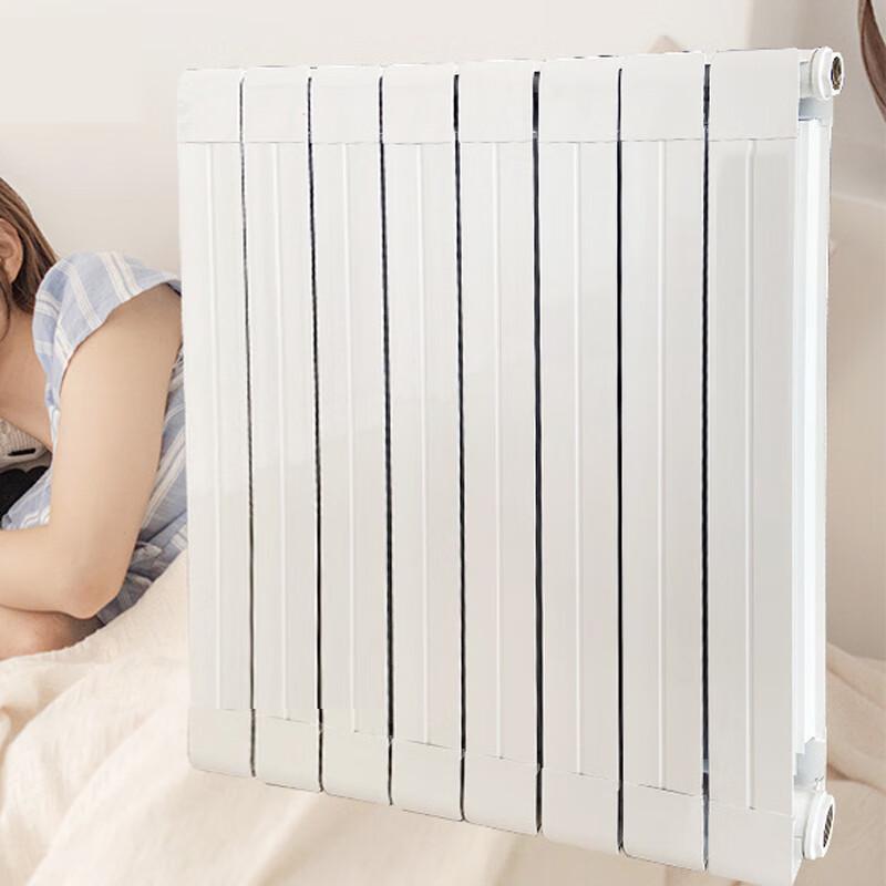 Wanshun Jia Steel Wall-Mounted Hydronic Radiator