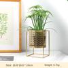 Nordic Light Luxury Gold Hollowed Flower Pot Fashion Creative Balcony Plant Stand Simple Atmosphere Indoor Decorative Shelf