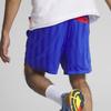 Puma Çocukluk Hayalleri Renk Bloklu Çizgili Logolu İpli Basketbol Şortu Erkek Şortu Mücevher Mavisi 539922-01
