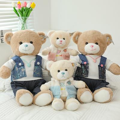 New Cute Dressed Couple Bear Doll Plush Toy Cartoon Teddy Bear Doll Birthday Gift for Girls