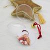 Xmas Tree Ornaments Round Five-star Christmas Ball Photo Frame Pendant Hanging Picture Holder