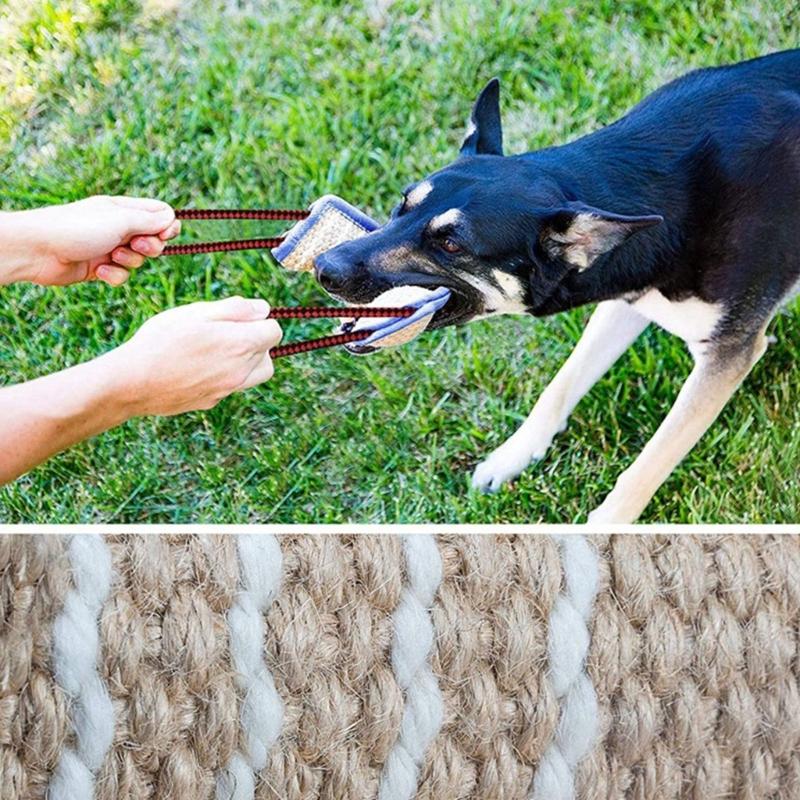 Dog Molar Toy For Dog Tossing Toy with 2 Handles Aggressive Chewer Reflective Pillow Chew Toy