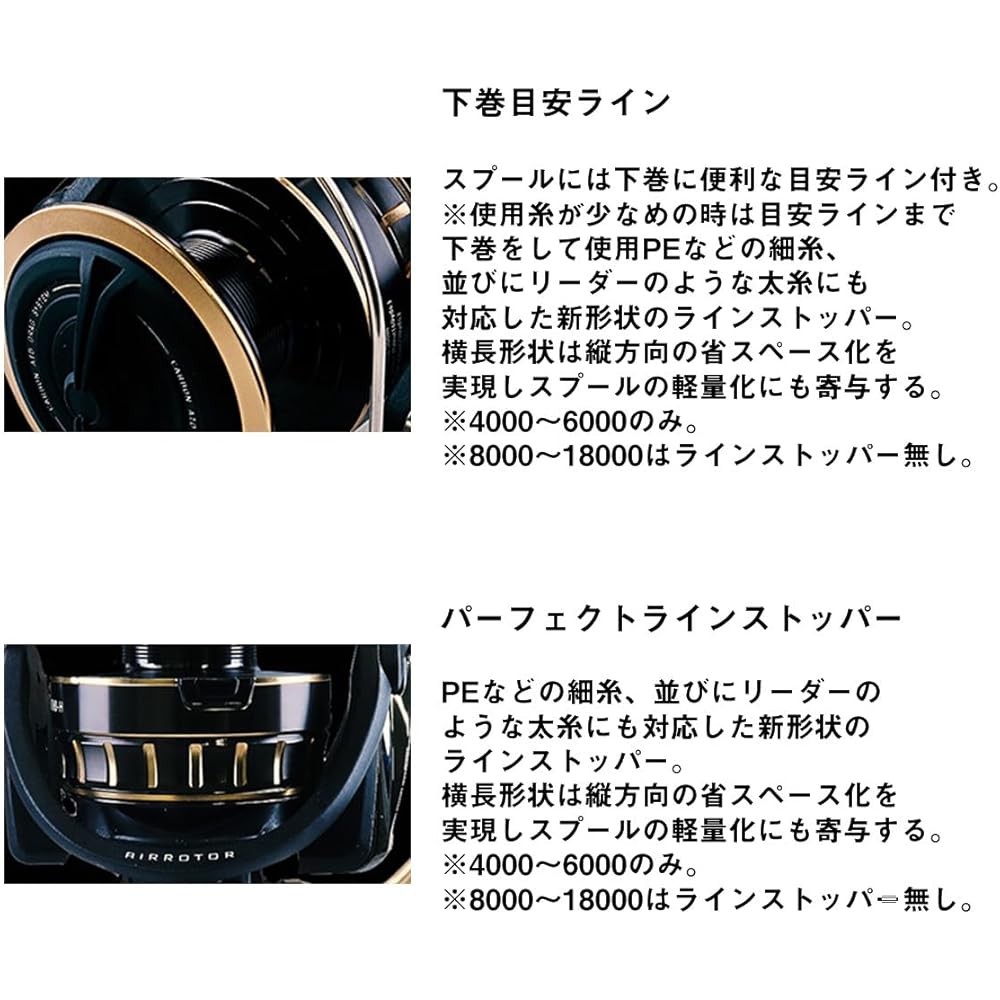 Daiwa Spinning Reel 23BG SW 6000D-P