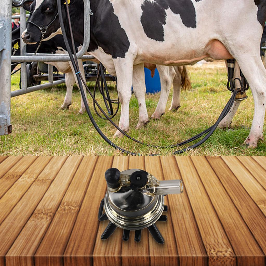 150ml Milking Claw Cow Milker Machine Easy Installation Easy To Maintain Efficient Design Simple To Operate For Mobile Trolleys