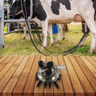 150ml Milking Claw Cow Milker Machine Easy Installation Efficient Design Dairy Farm Equipment Milk Collection Efficiency
