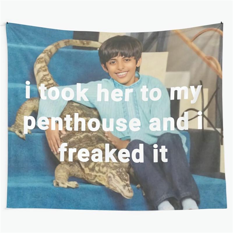 

Aertemisi Ravi I Took Her To My Penthouse and I Freaked It Tapestry Wall Hanging Art for Bedroom Living Room Decor Party 74x94cm(29x37in)