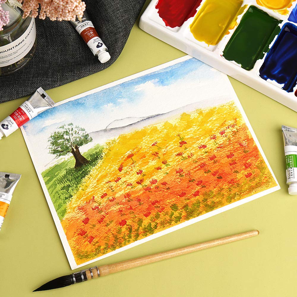 Paul Rubens Transparent Watercolor Paint Set, 36 Colors, 5ml Paint Tubes, Suitable for Beginners, Hobbies, and Students.