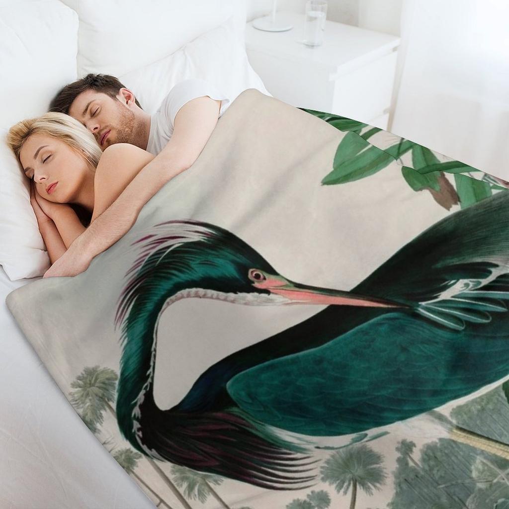 Louisiana Heron Birds of America Audubon Illustration Bird Lovers Gift Throw Blanket for sofa Cute Kid'S Blankets