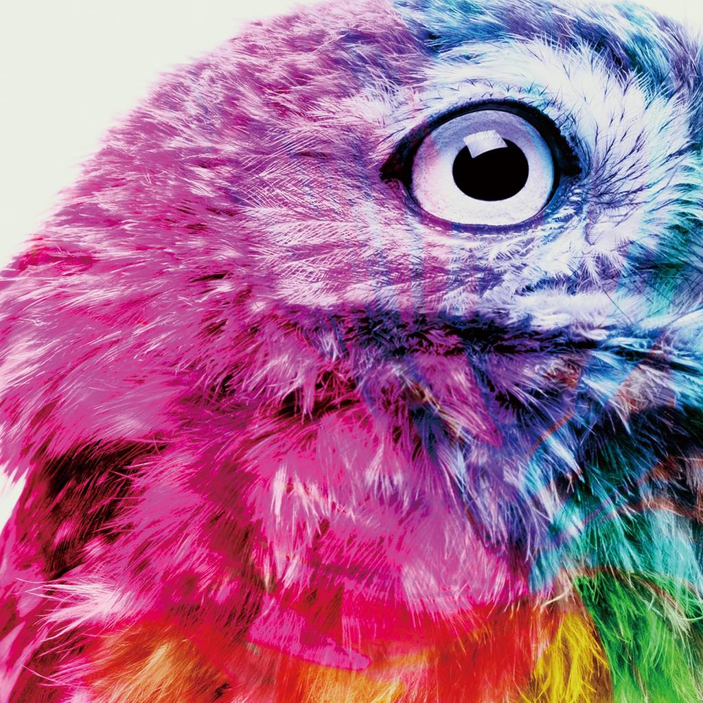 Seeing the interior wall art A3 framed wide x 43cm "Owl Future" painting, panel, size, (32cm high)