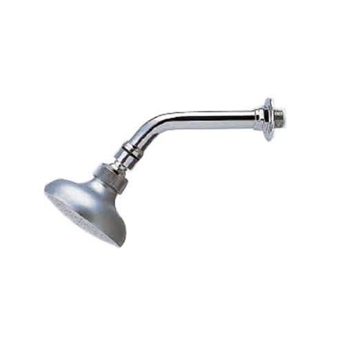 

KAKUDAI rotating shower 13 3850 G-type срібний