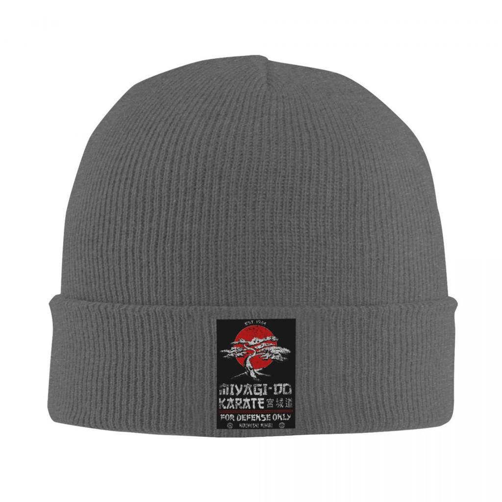 Karate Logo Warm Knitted Cap Fashion Bonnet Hat Autumn Winter Outdoor Beanies Hats for Men Women Adult