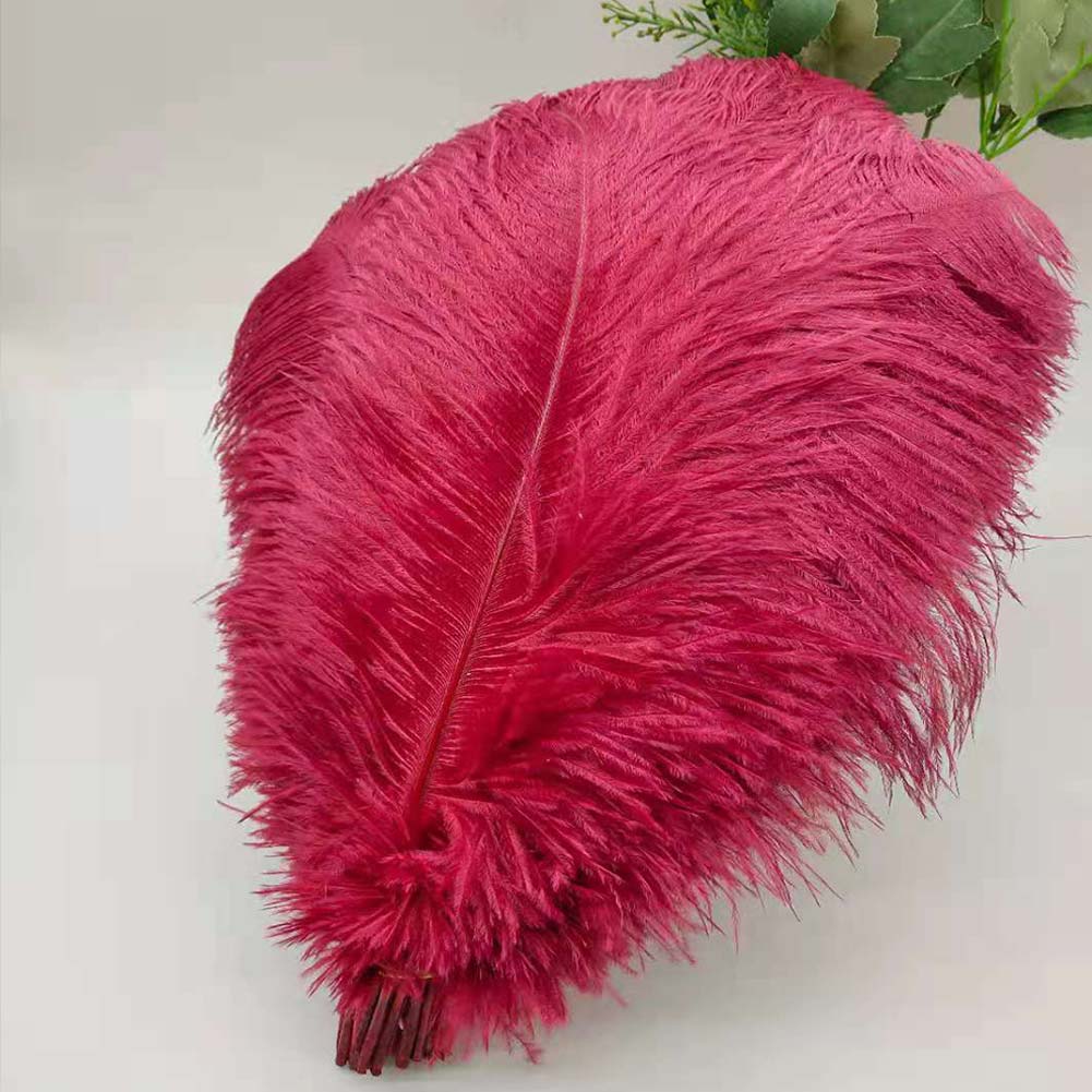 

10 шт./лот Натуральные страусиные перья для рукоделия Свадебный декор Аксессуары для рукоделия Центральные элементы стола Карнавальные перья Рождество 15-20cm 6-8inch вино красного