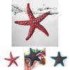 Authentic Sea Star Animal Models For Kids Educational Beach Toys Colorful Pvc Set