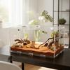 1pcs Reptile Terrariums Acrylic Reptile Breeding Box Terrarium Cage Tank For Small Reptile Insect= Home Office For Home Garden