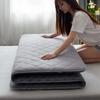 WTEMPO Double-sided Four Seasons Available Foldable High Quality Soft Mattress Thick Bedroom Bed Sheet Tatami Pad School Dormitory Bed Mattress Pad