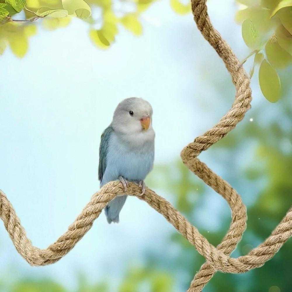Corda di Lino Fai da Te Perch Flessibile per Uccelli Presa Comoda Ventosa Antiscivolo Corda da Arrampicata per Uccelli Resistente Stabile