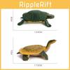 Pvc Freshwater Turtle Model With Realistic Detailing For Pet Enthusiasts