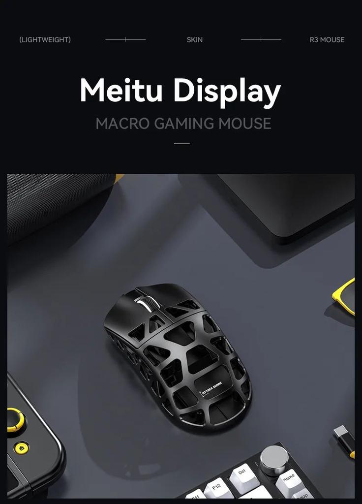 R3 Mouse