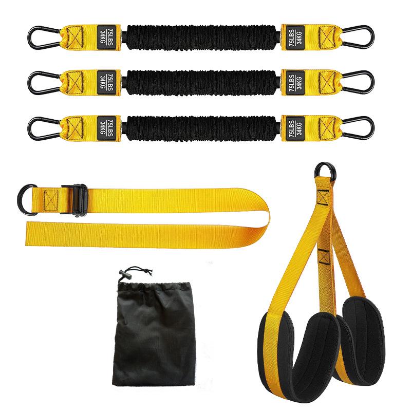Pull-up Assist Resistance Band for Indoor Fitness and Exercise
