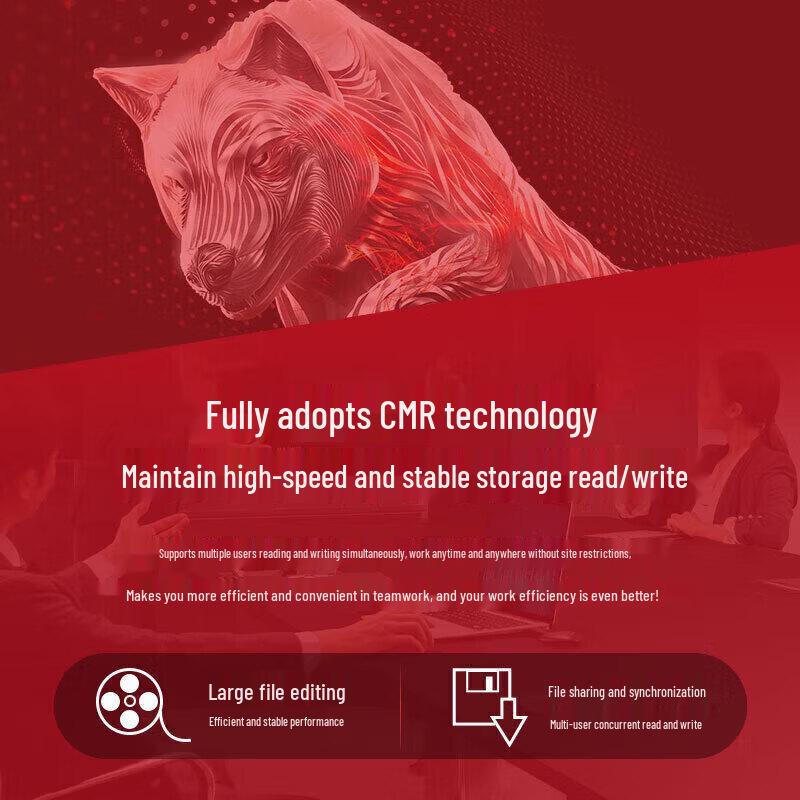 Seagate IronWolf 10TB NAS Hard Drive