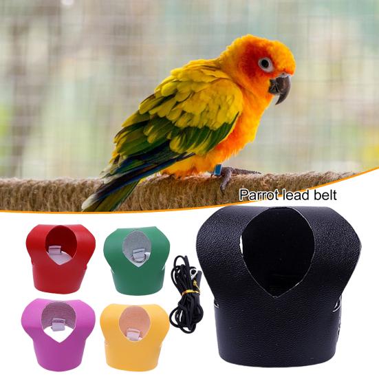 

Регулируемая упряжь для птиц, жилет для попугаев, защищающий от укусов, веревка для переноски