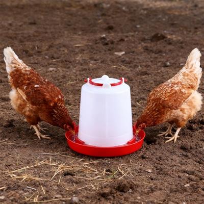 Yousheng 4/6Pcs 1.5L Chick Feeder Waterer Baby Chicken Duckling Quails Small Birds Pigeon Poultry Drinker Container Feeding Equipment Essential