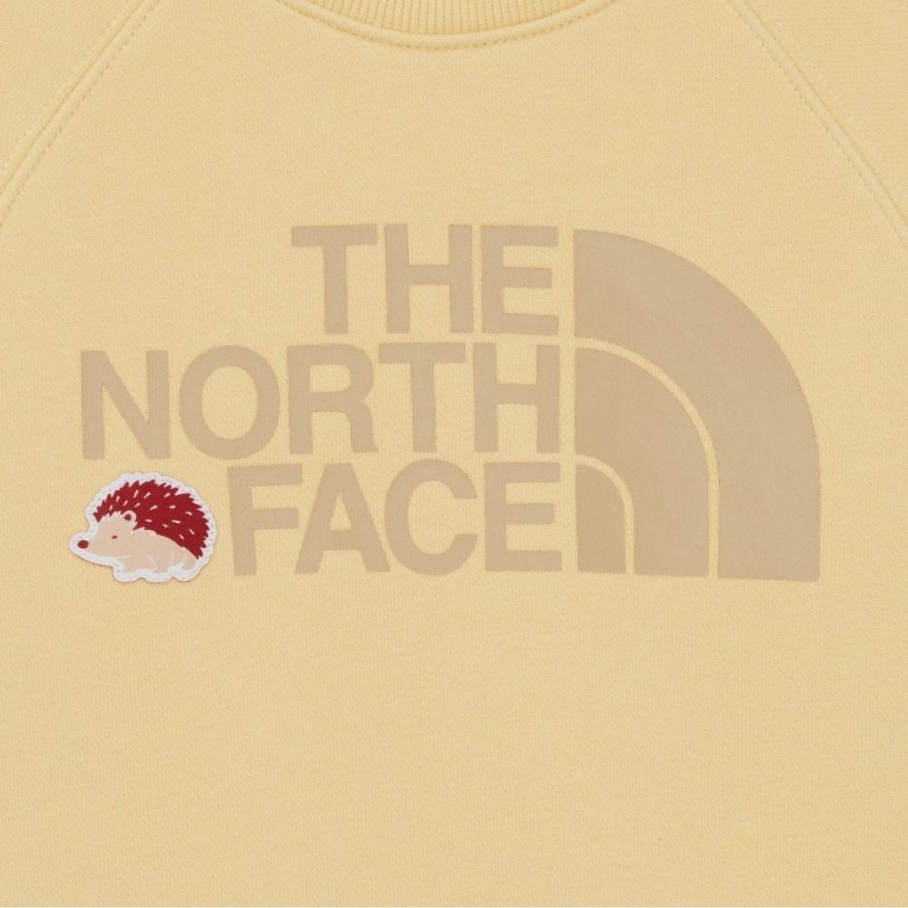 The North Face Kids Animate Sweatshirt Light Yellow Nm5mr55v