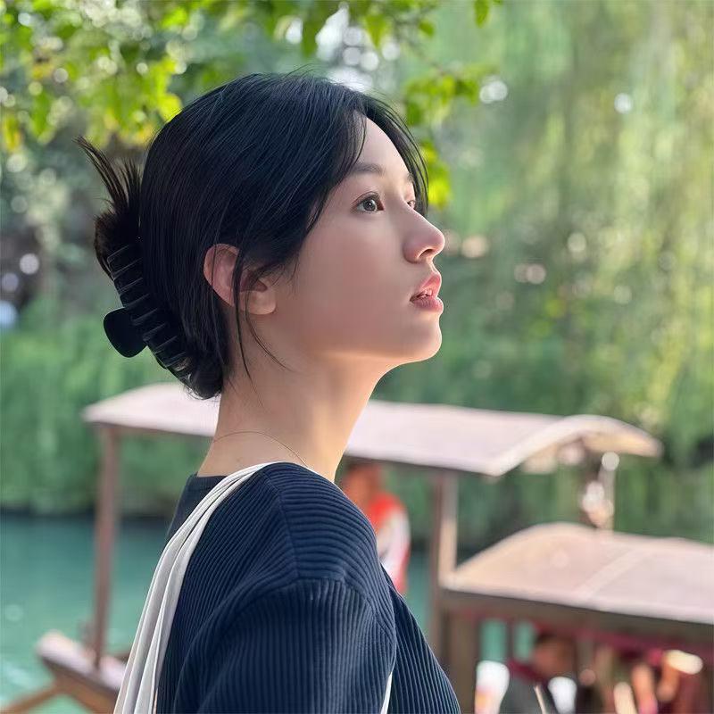 Silicone Matte Shark Hair Clip for Voluminous Updo - High-End Fine Hair Accessory