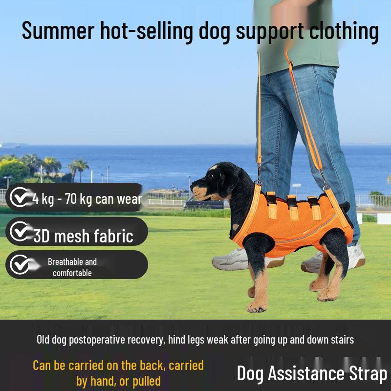 Podpůrný oblek pro mobilitu starých a hendikepovaných psů