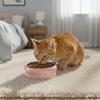 Cute Wide Mouth Ceramic Cat Bowl Cartoon Heavy Base Pet Water Bowl Donut Shape Anti-Tip Pet Food Bowl Pet Households