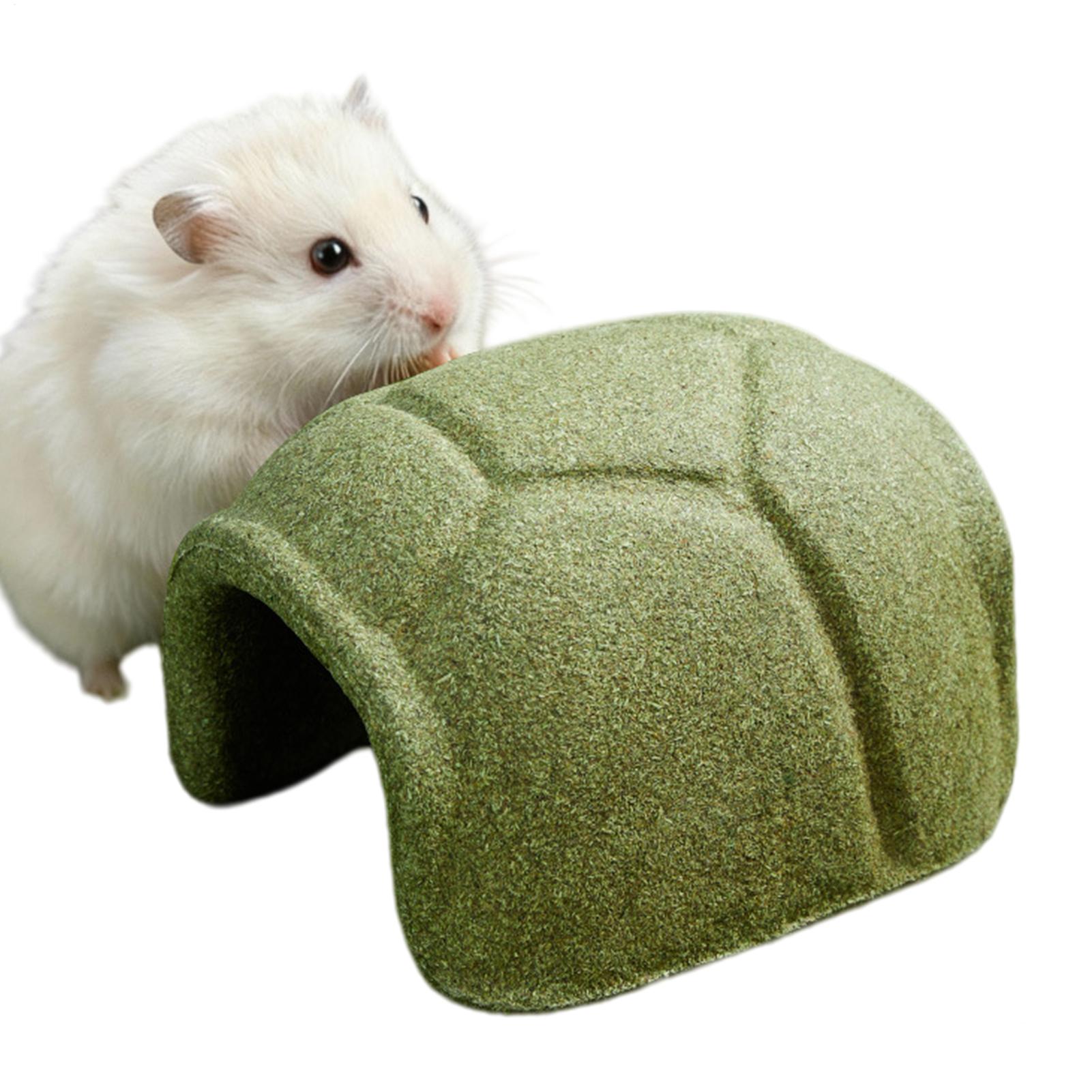 

Hamster Teething Toys Turtle Shell Shape Toy Natural Hamster House For Chewing Play Chinchilla Gerbil Small Animal Cage Boredom China Mainland
