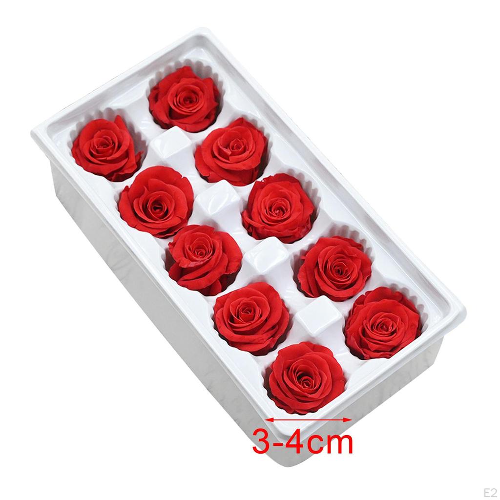 10Pcs Rose Flower Heads Eternal Dried Preserved for Girlfriend Her Wife