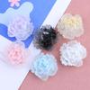 Peony Resin Jewelry & Accessories DIY Pack: Hair Clip, Headband, Phone Case