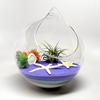 Dropshiping Hanging Glass Planter Round Air Plant Terrarium Decorations With Sling  for Succulent Tillandsia Candle Holder