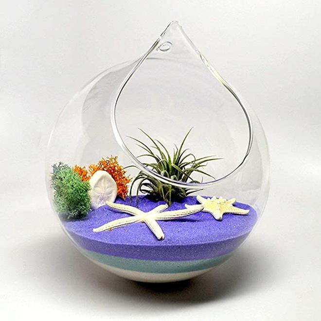 Dropshiping Hanging Glass Planter Round Air Plant Terrarium Decorations With Sling  for Succulent Tillandsia Candle Holder