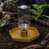 Automatic Reptile Water Dispenser | Low-Profile Base Design, Ribbed Interior