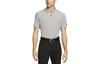 Polo Dri Fit da Uomo Grigia FJ1643-010