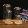 Clear Glass Display Dome with LED Wood Base Microlandscape Holder Glass Cover  for Birthday Gift Bedroom Home Decoration