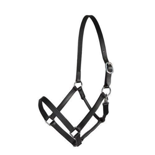 PFIFF Basic Line COB Licol en Cuir, Noir - 101637-60-Full