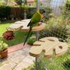 Bird Cage Perch Wood Parrot Platform Stand Monstera Leaf Flat Bird Perch with Pinecone for Cockatiels Conures African Greys Chewing Resting Nail